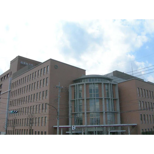 樱美林大学