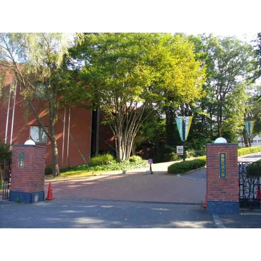 常磐大学