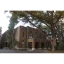 武藏大学 logo