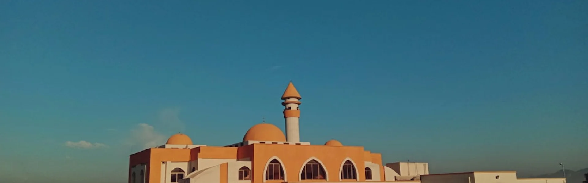 Maulana Azad National Urdu University