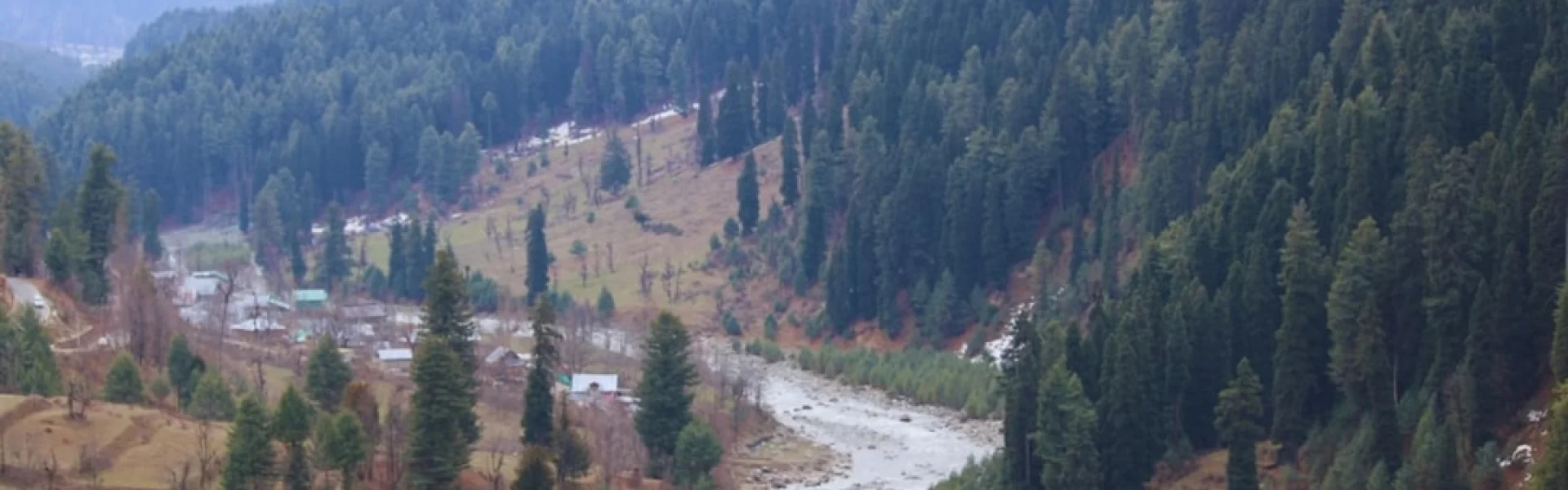 Sher-e-Kashmir University of Agricultural Sciences and Technology of Jammu