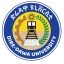 Dire Dawa University logo
