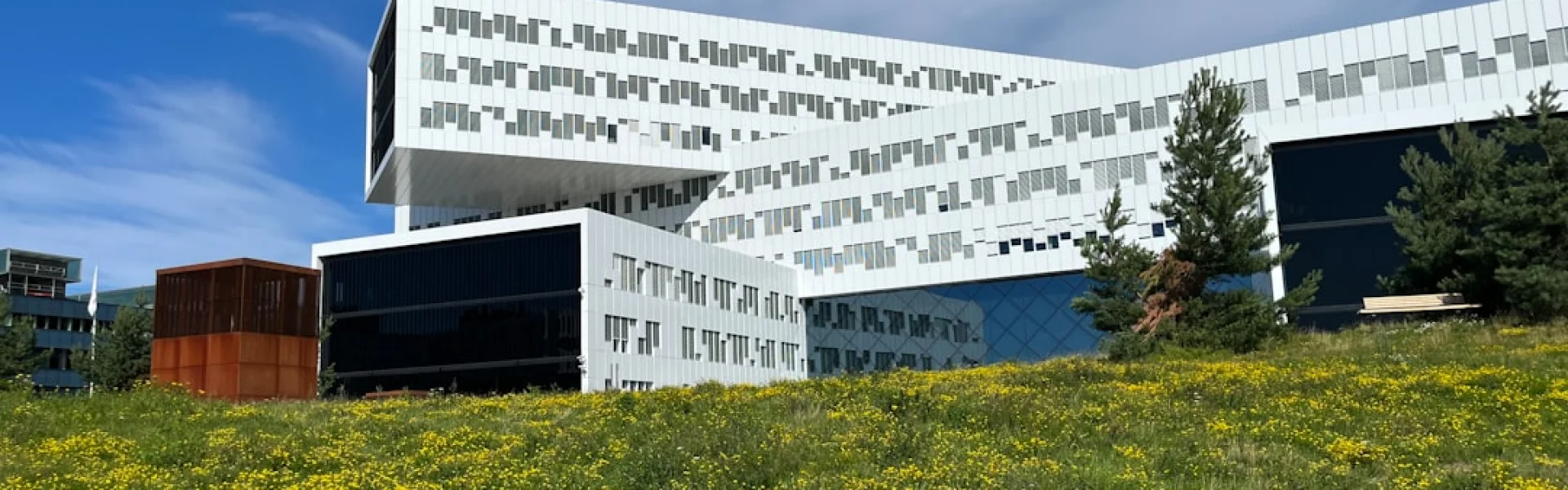 Southwest University of Visual Arts