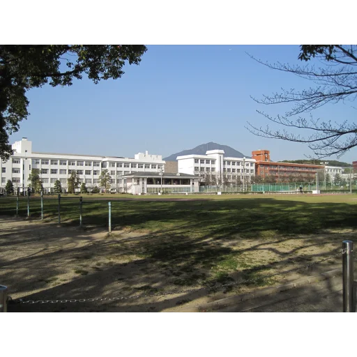 日本经济大学
