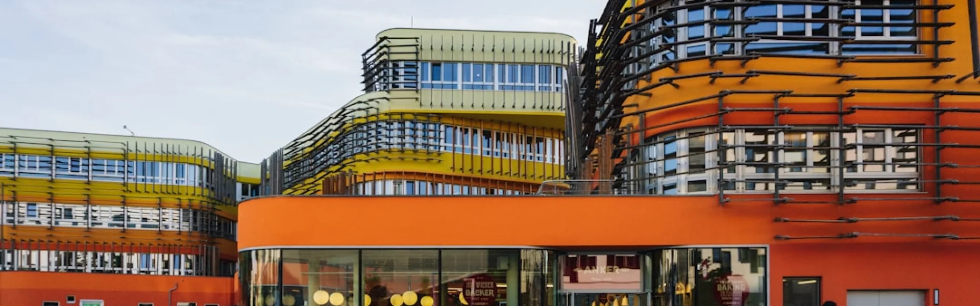 The Future University
