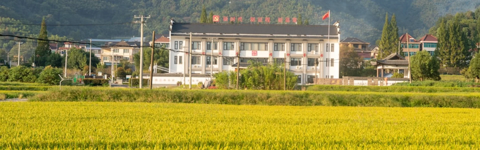 Zhongkai University of Agriculture and Engineering