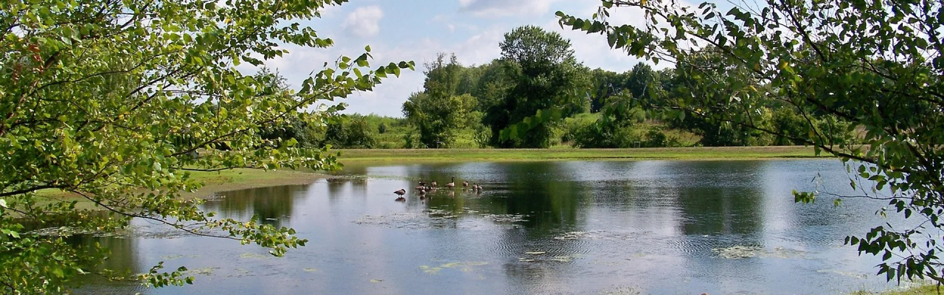 Patrick Henry College