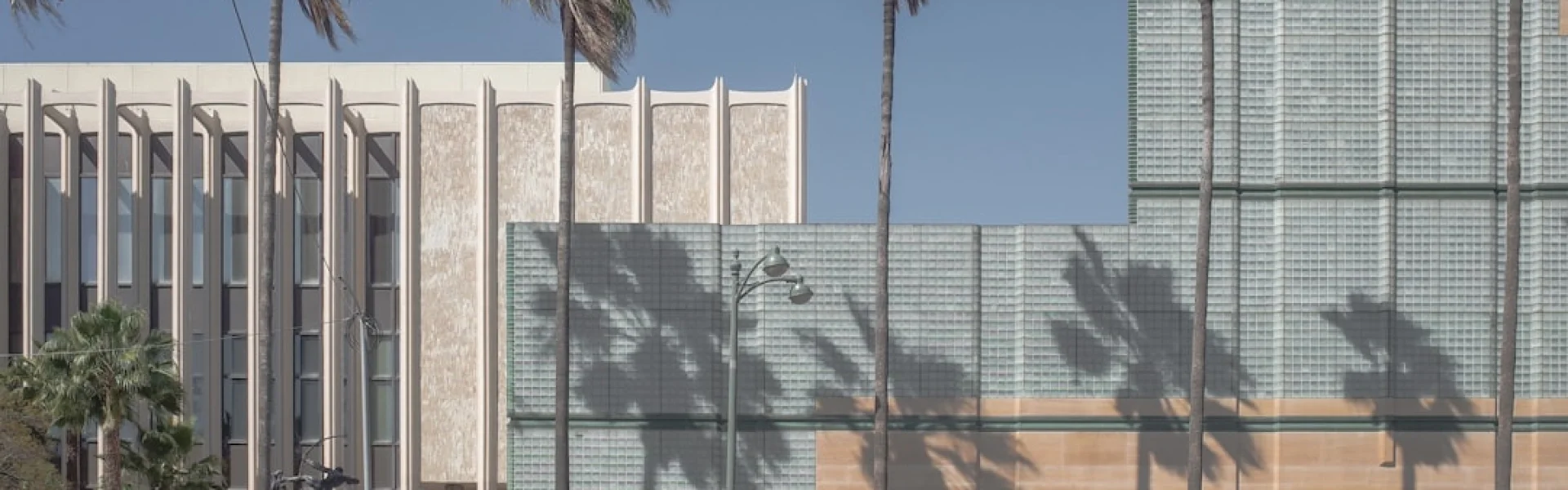 California Institute for Human Science