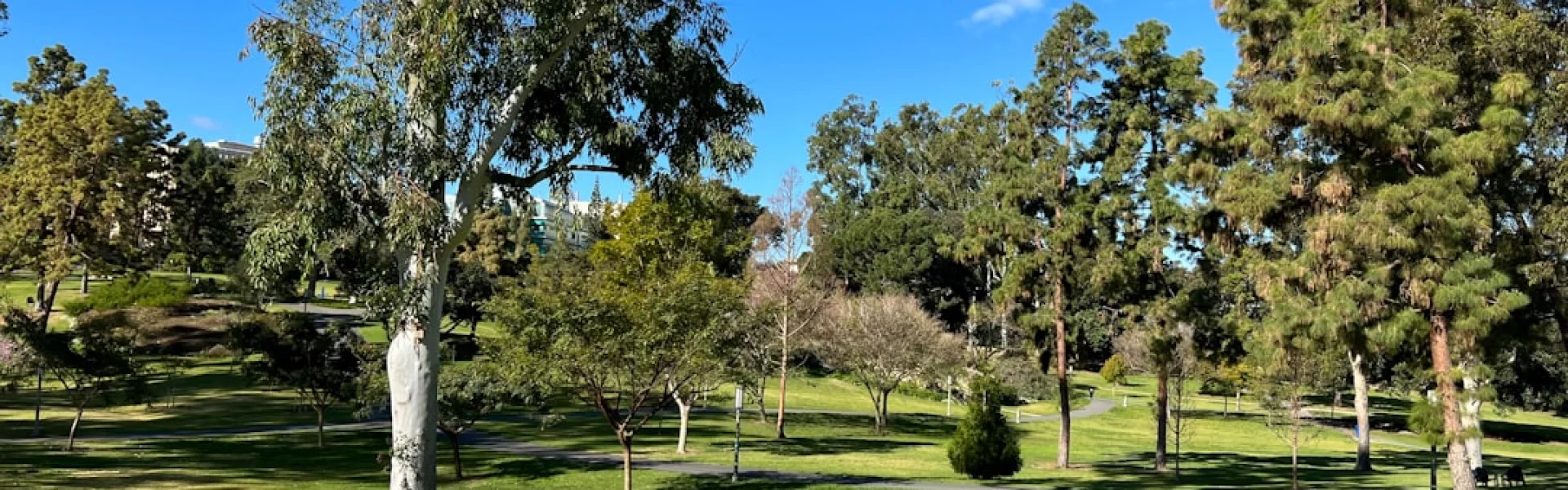 Irvine University