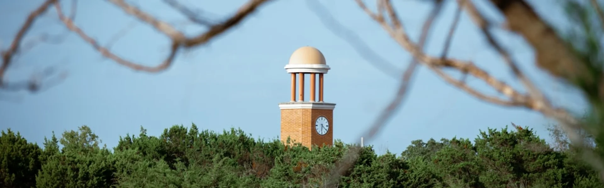 South Texas College of Law