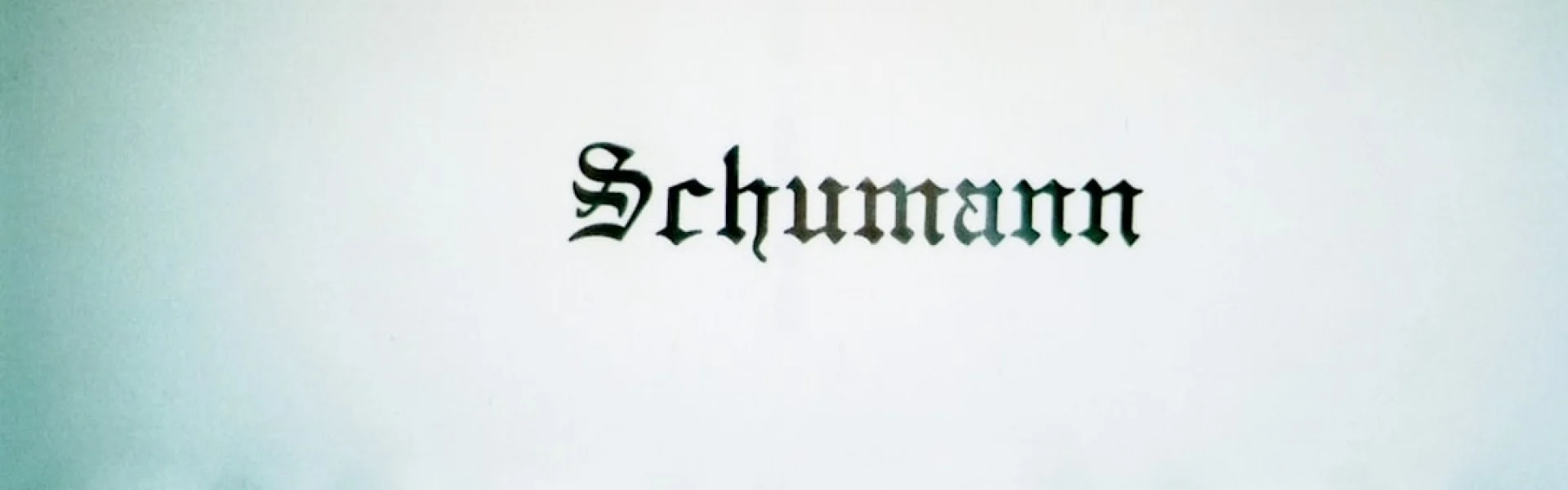 Robert Schumann University of Music and Media