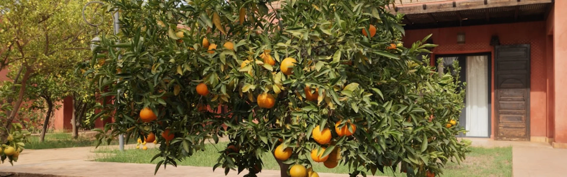 Citrus College