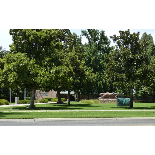 Reedley College logo
