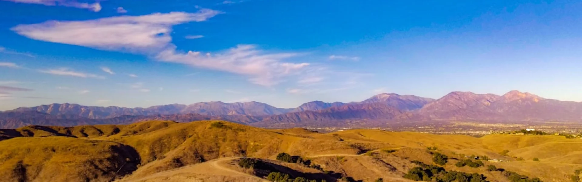 Paradise Valley Community College