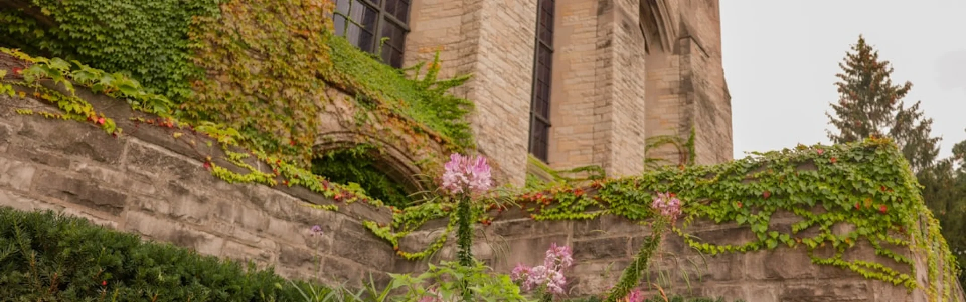 University of Northwestern