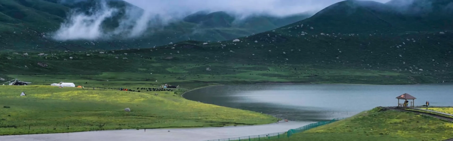 Tibet Academy of Agricultural and Animal Husbandry Sciences