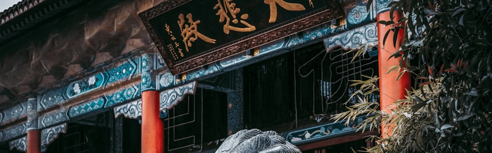 American Academy of Acupuncture and Oriental Medicine