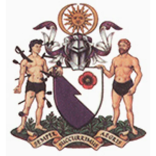 Royal College of Emergency Medicine logo
