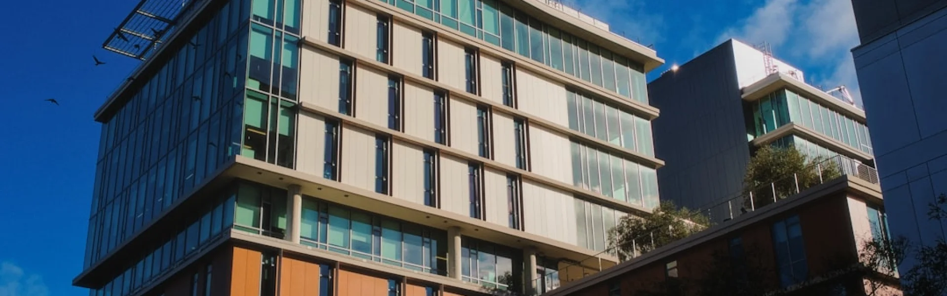 Raffles College of Design and Commerce
