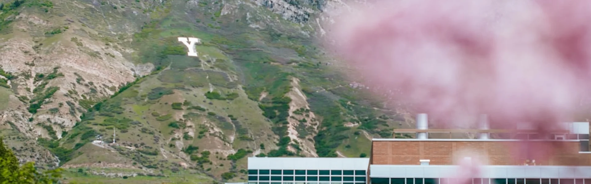 Provo College