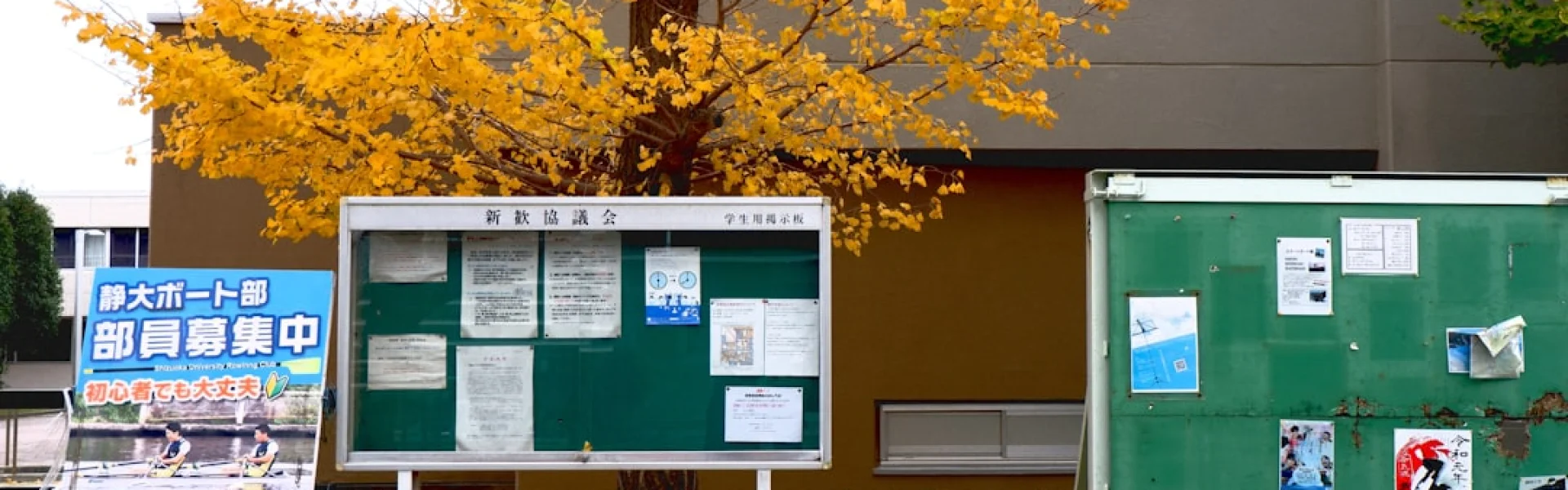 University of Shizuoka