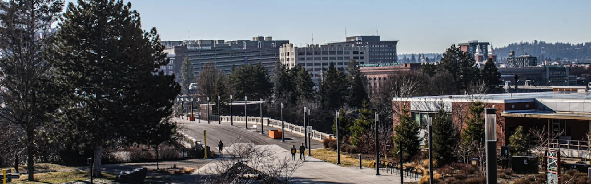 Washington State University Spokane