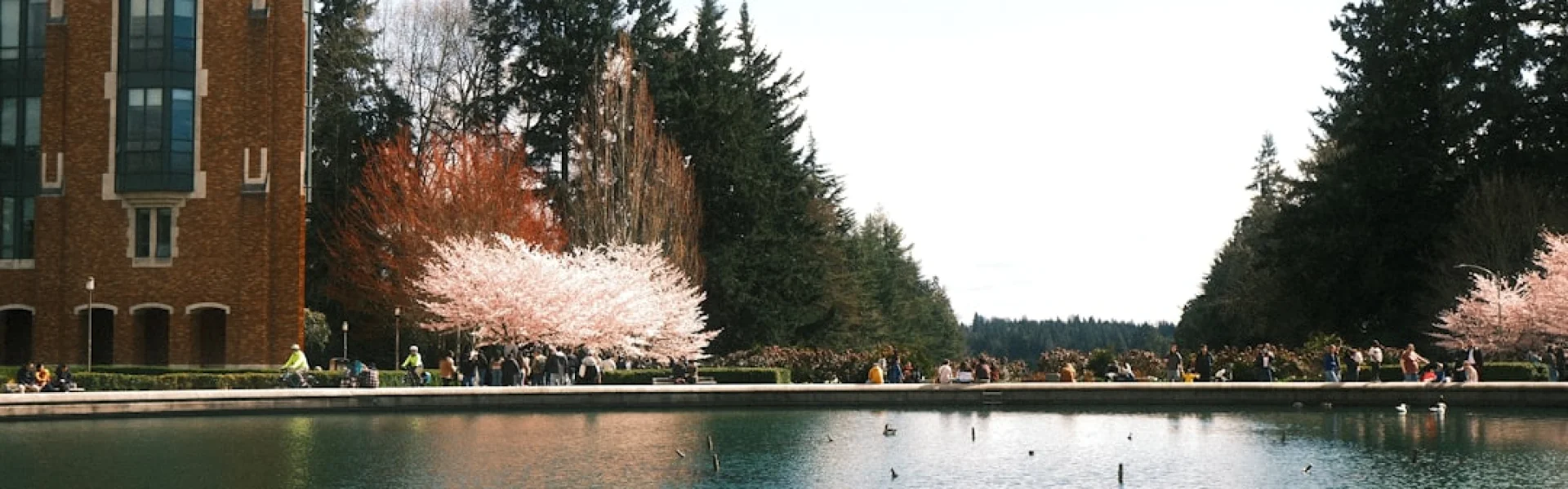 Washington State University Tri-Cities