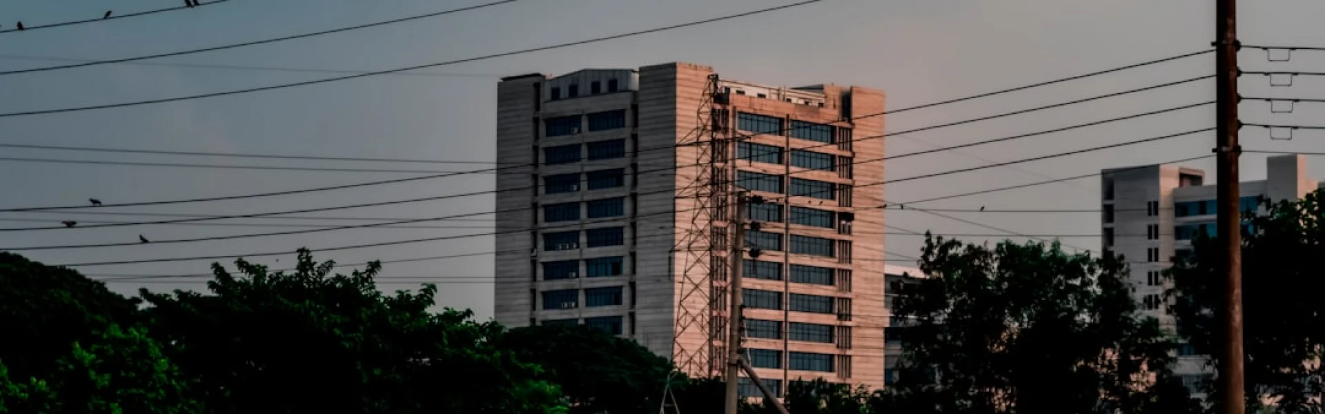 Bangladesh University