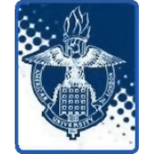 American University in London logo