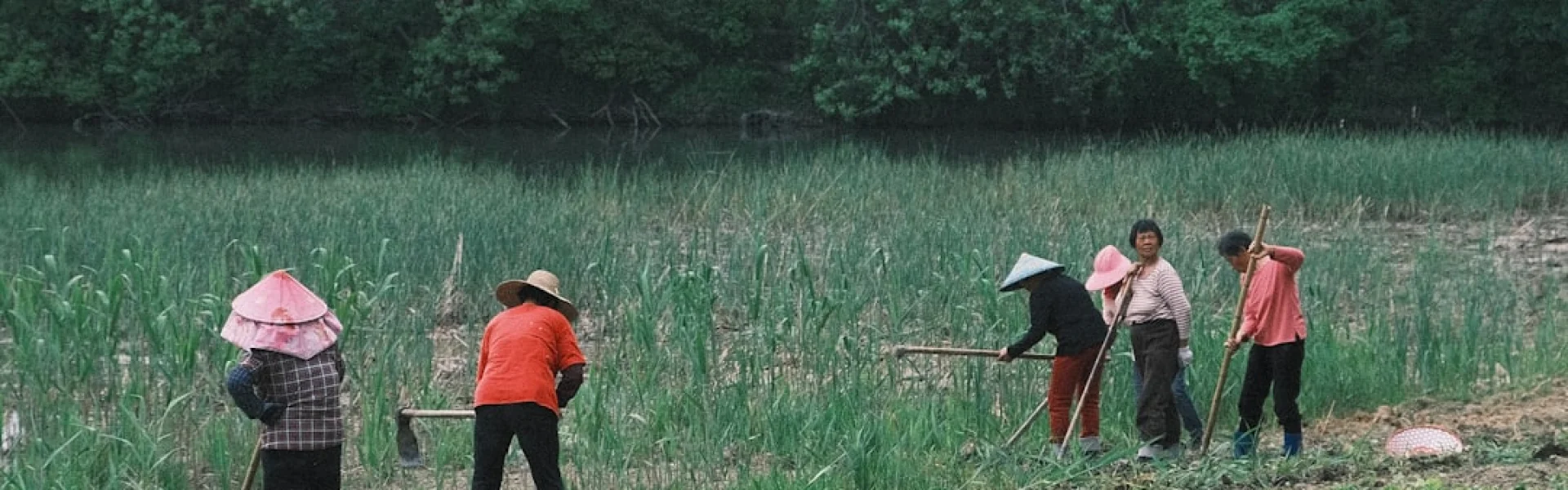 Heilongjiang Academy of Land Reclamation Sciences