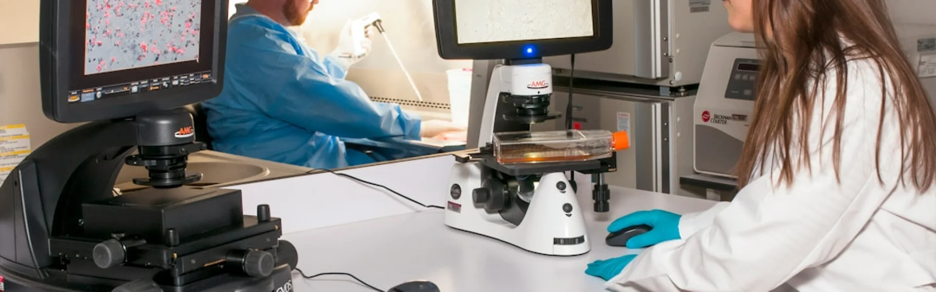 Model Clinical Research
