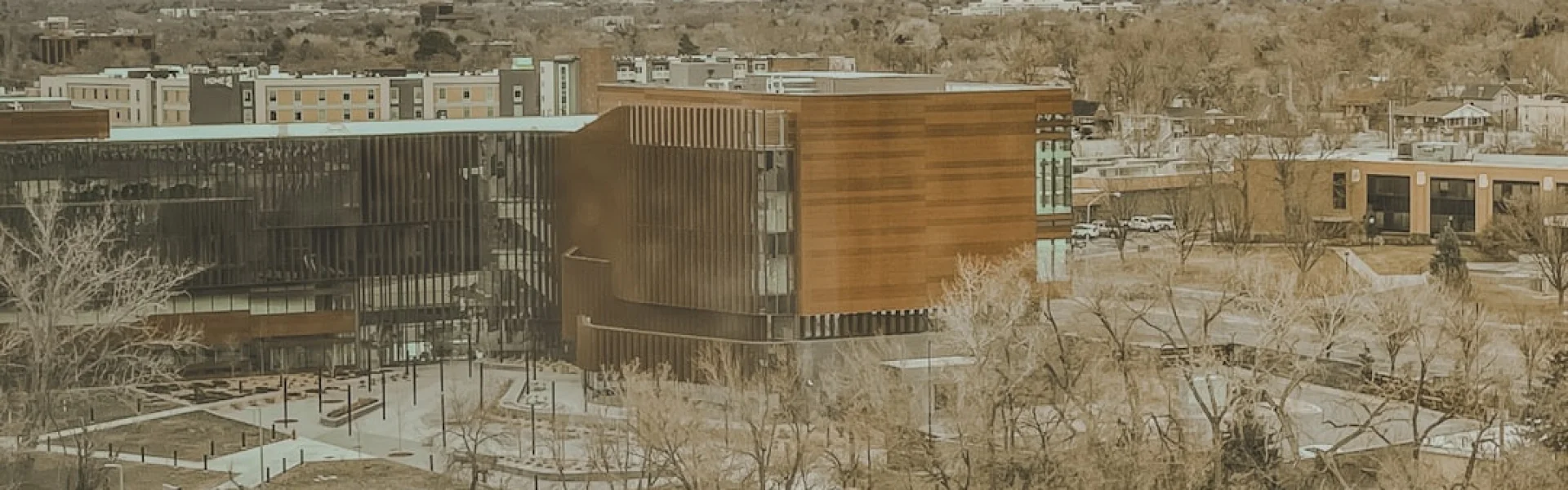 New Mexico State University Grants