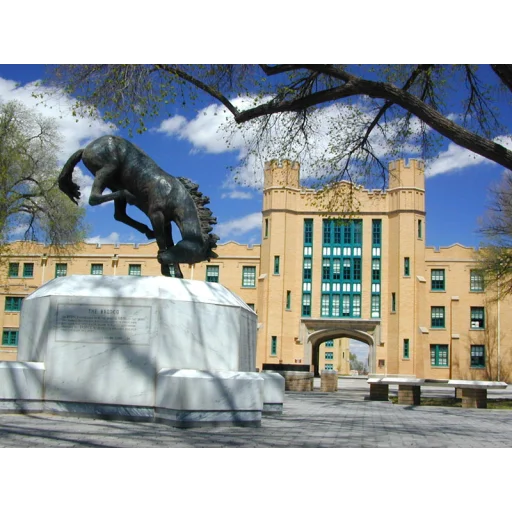 New Mexico Military Institute logo