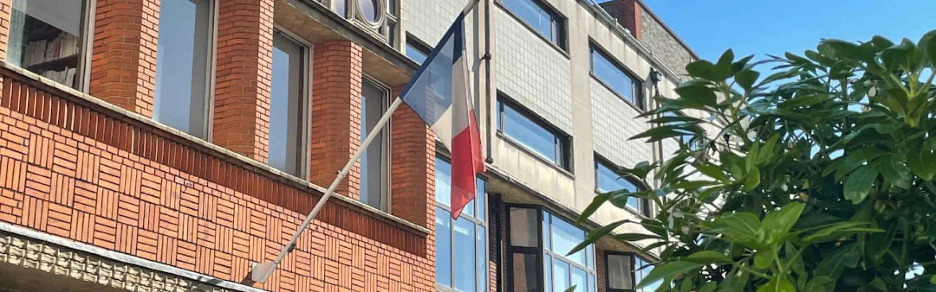 The North South Institute