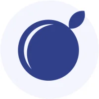 Blueberry Academy logo