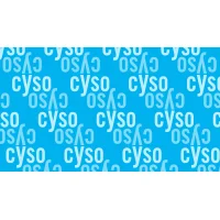 Chicago Youth Symphony Orchestras logo