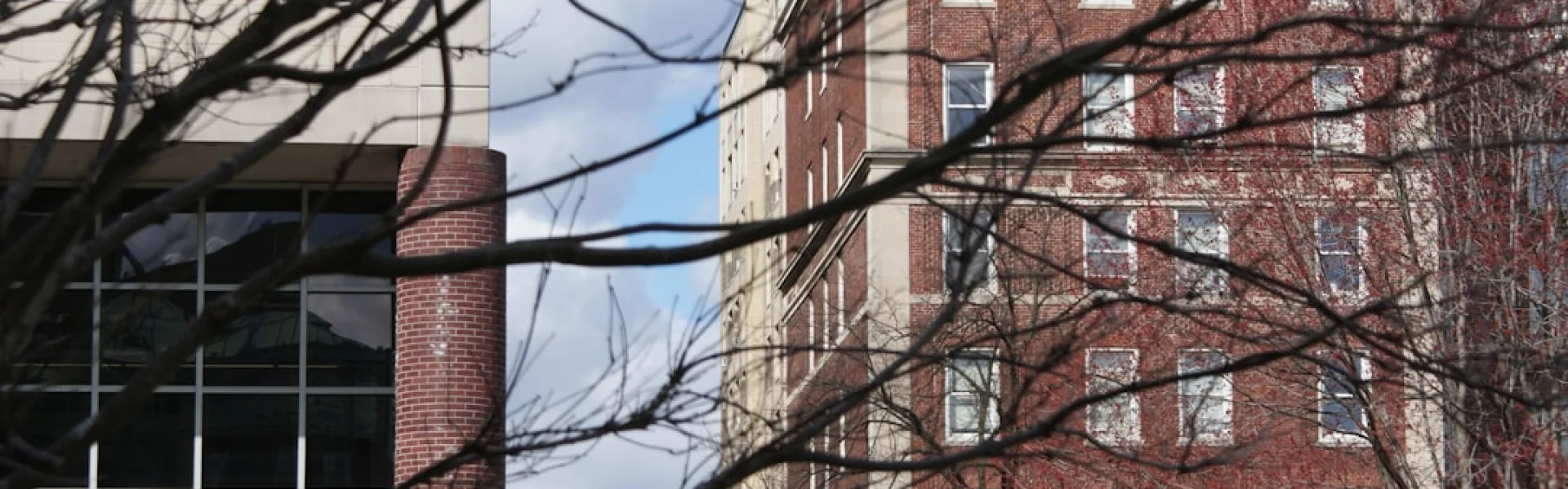 New City College