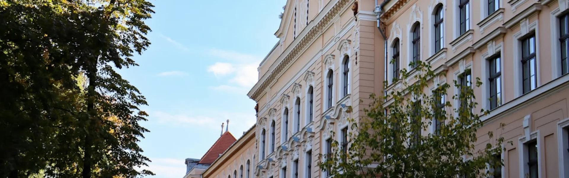 Institut für Berufliche Bildung