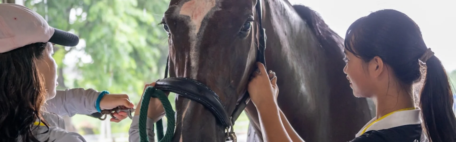 Hagyard Equine Medical Institute