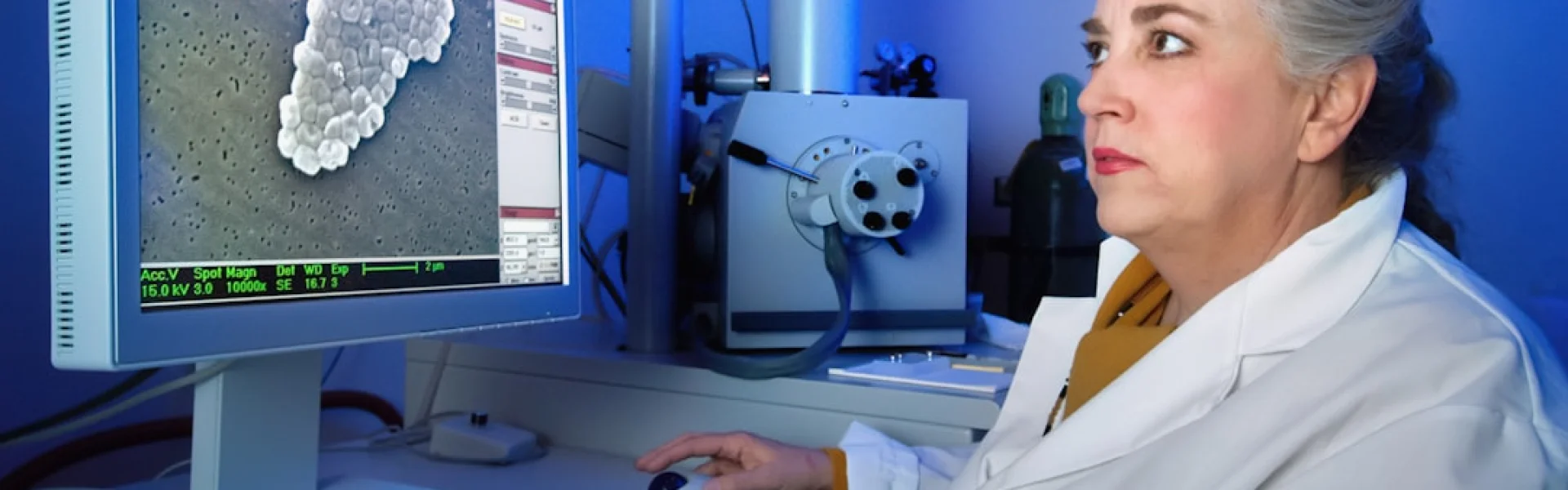 Multiscale Bioimaging