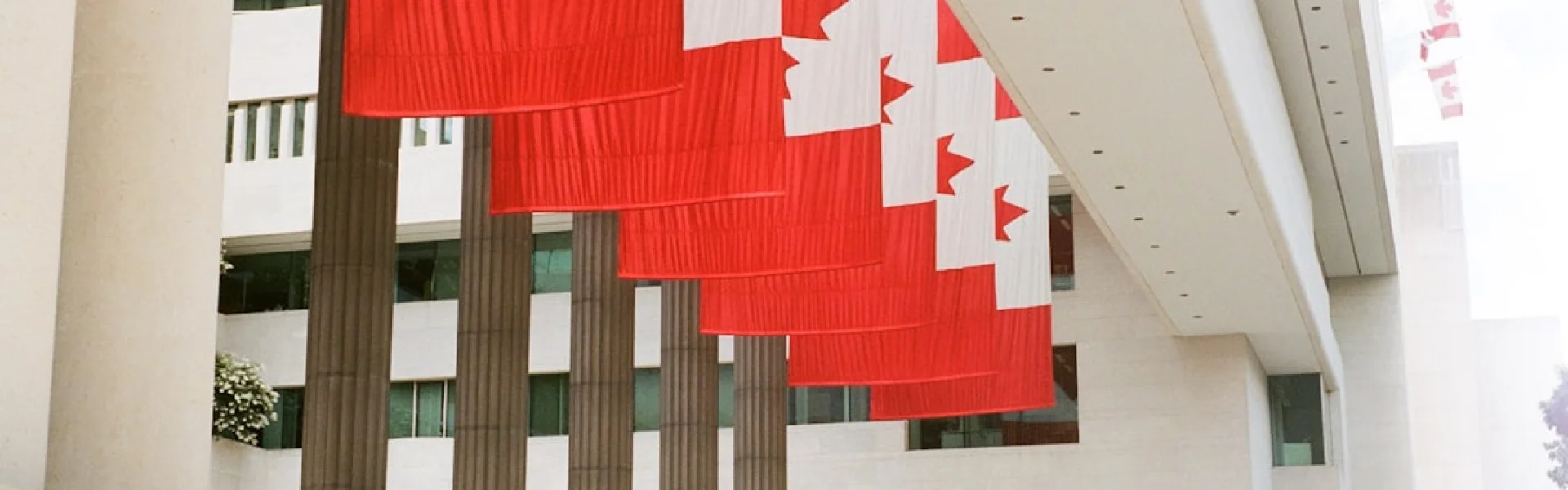 Canadian Institute for International Peace and Security