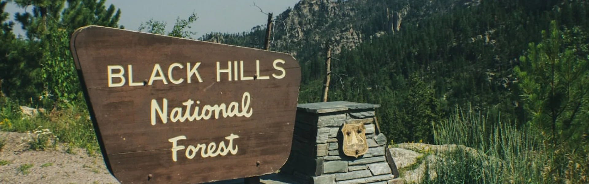Black Hills Special Services Cooperative