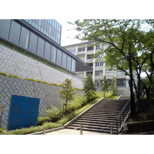 鹤见大学