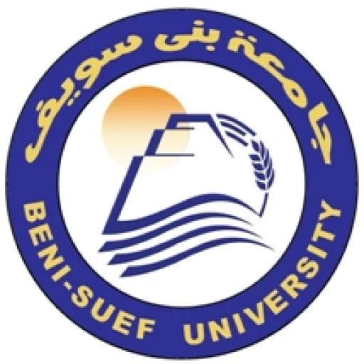 贝尼苏韦夫大学
