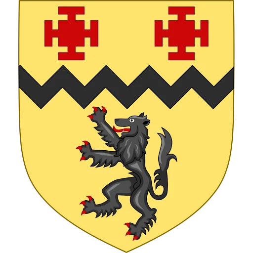 纽曼大学 logo