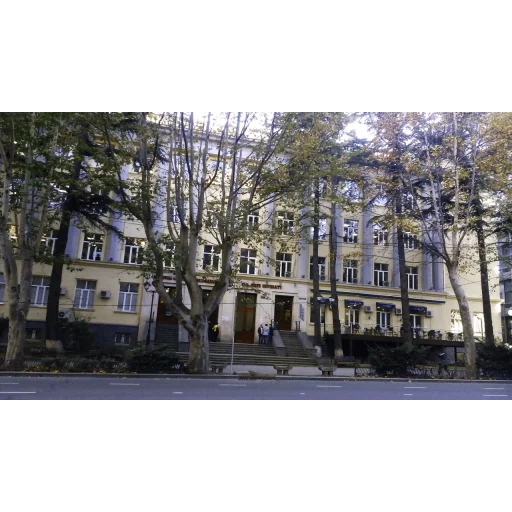 Ilia State University