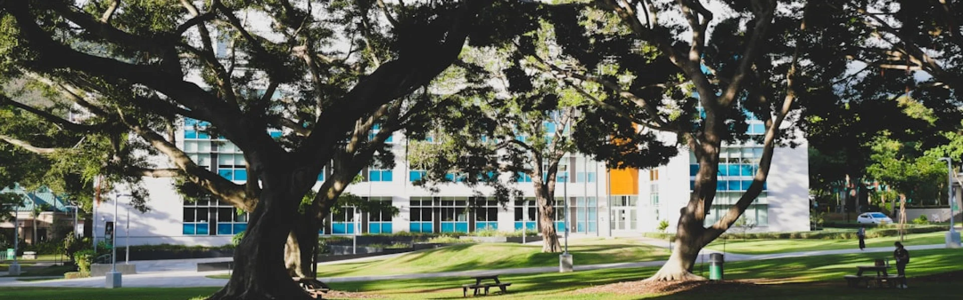 夏威夷太平洋大学