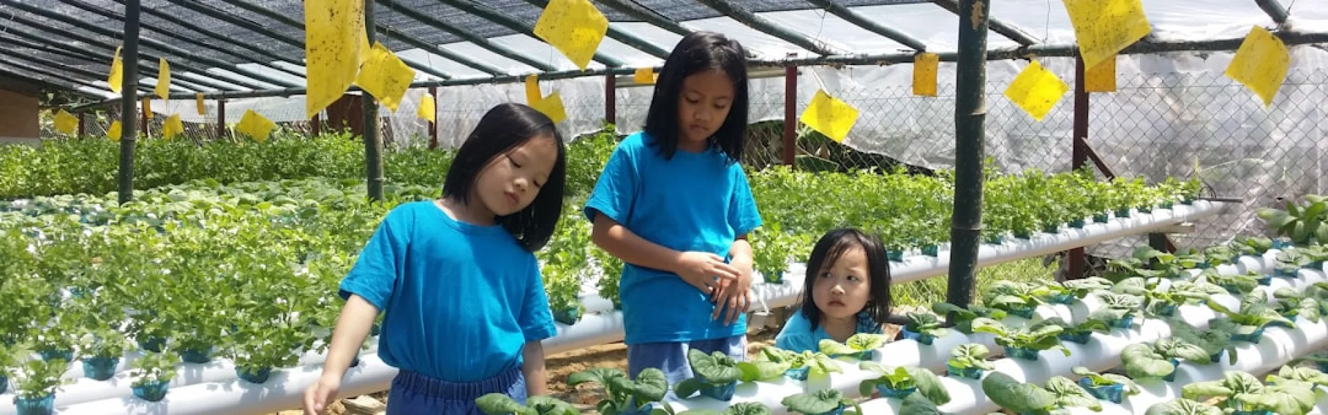 Guangxi Academy of Agricultural Science