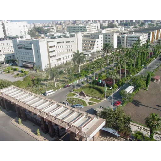 曼苏拉大学 logo