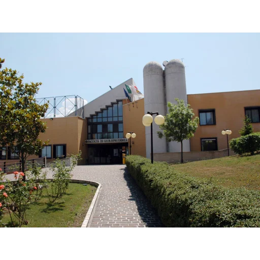 莫利塞大学